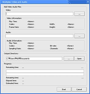 multiplex video and audio