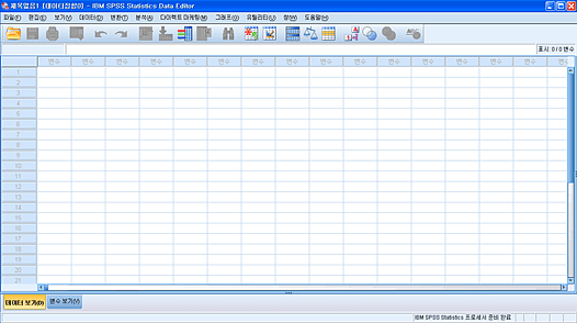 IBM SPSS 실행화면